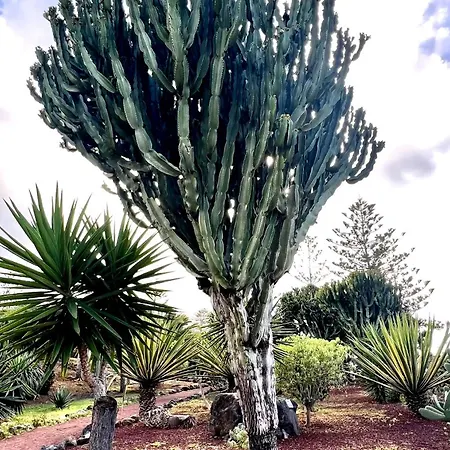Tenerife Sea View Sun 214 *